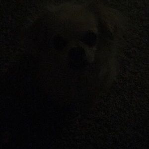 Meet your Posher, Mandy